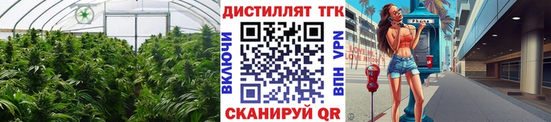 Дистиллят ТГК жижа  Бокситогорск 