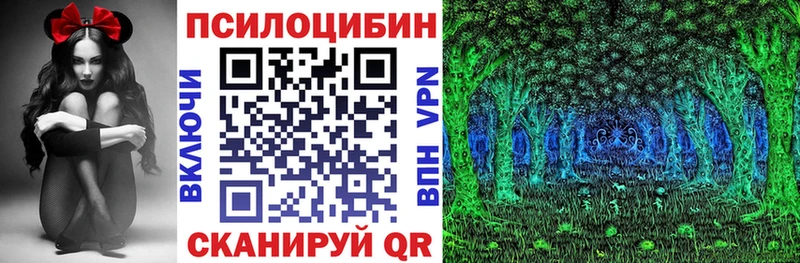 Галлюциногенные грибы прущие грибы МЕГА как зайти Бокситогорск хочу